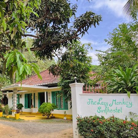 Lazy Monkey Surfhostel - Sri Lanka Dikwella Exteriör bild