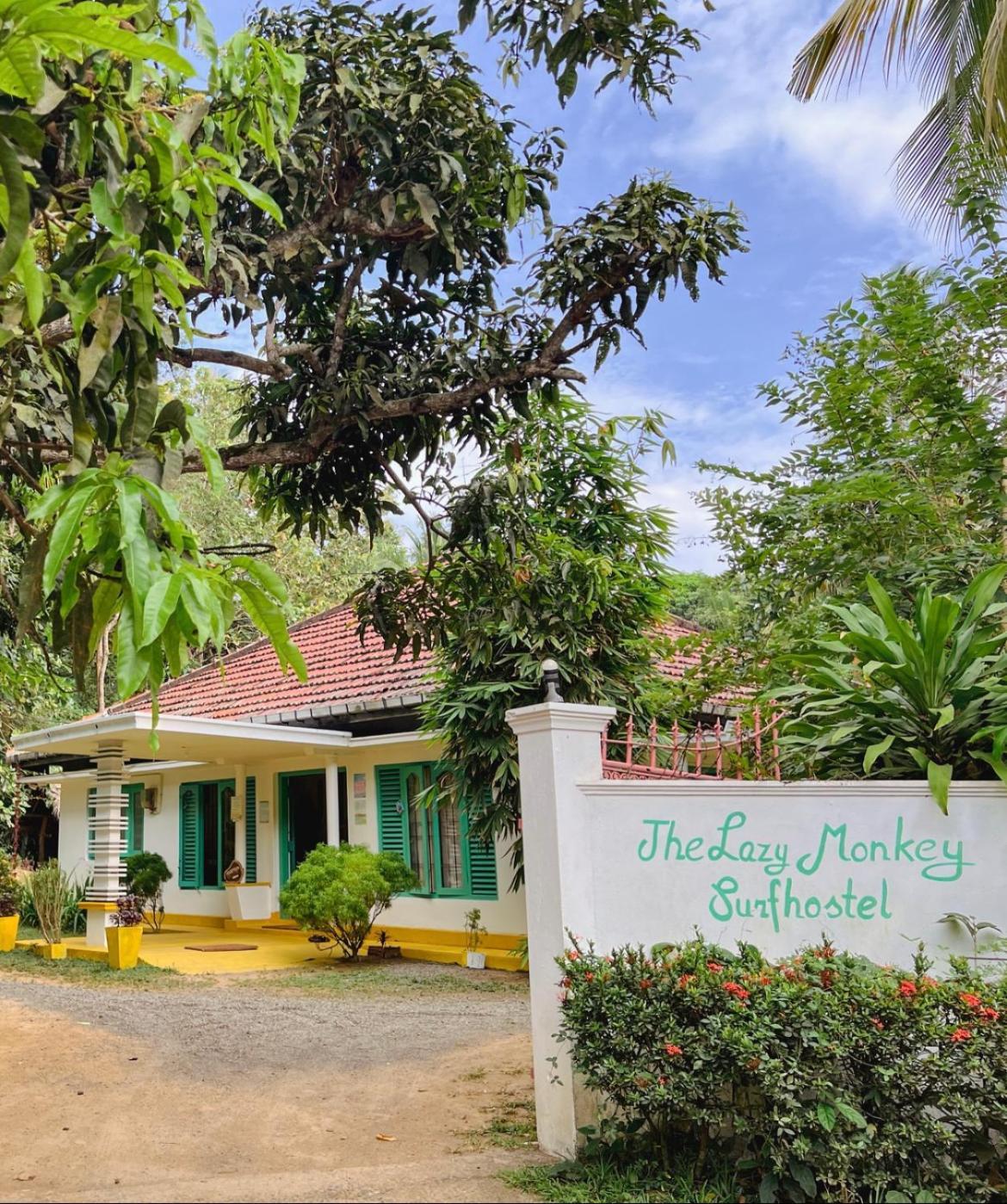 Lazy Monkey Surfhostel - Sri Lanka Dikwella Exteriör bild