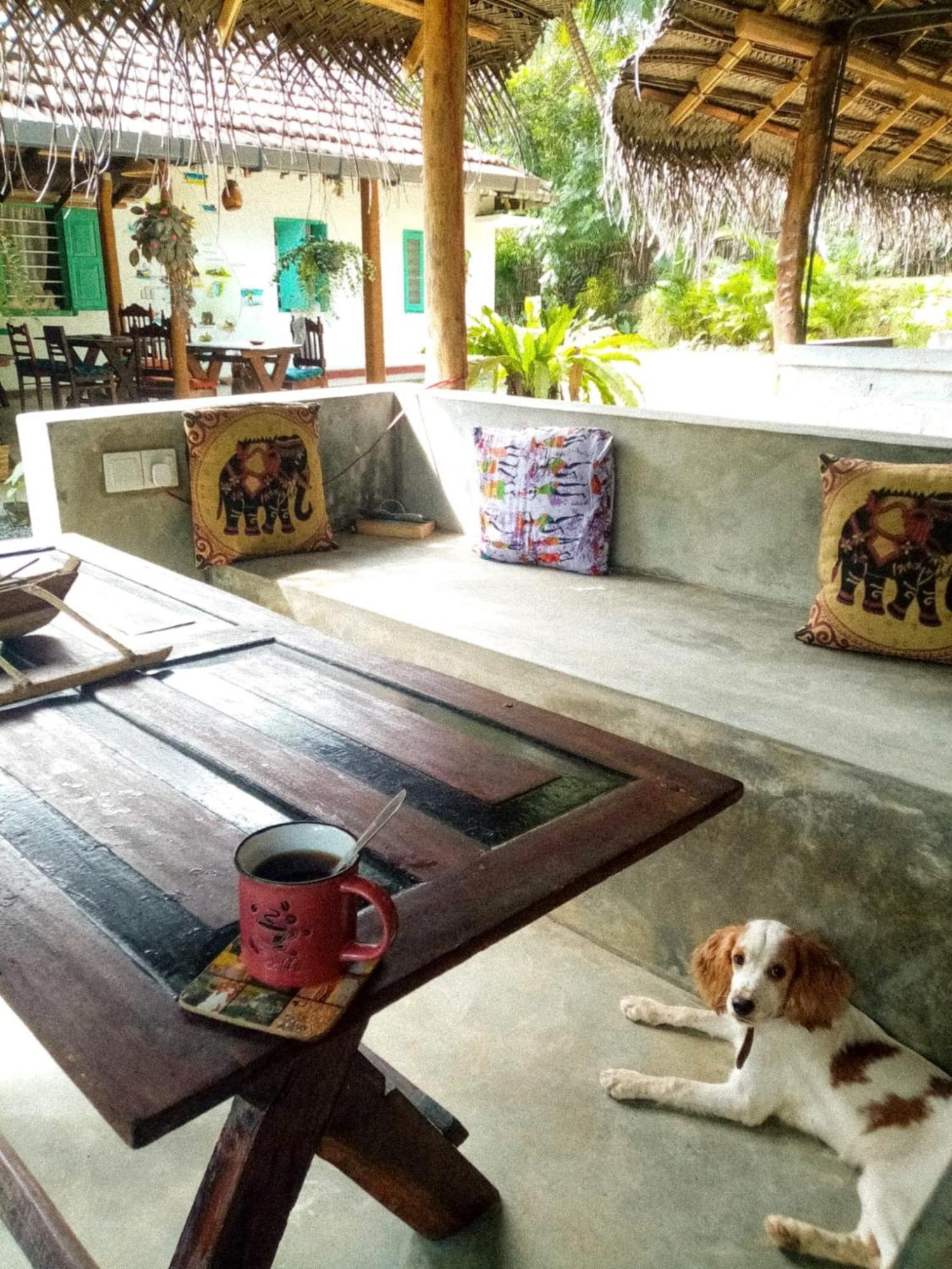 Lazy Monkey Surfhostel - Sri Lanka Dikwella Exteriör bild