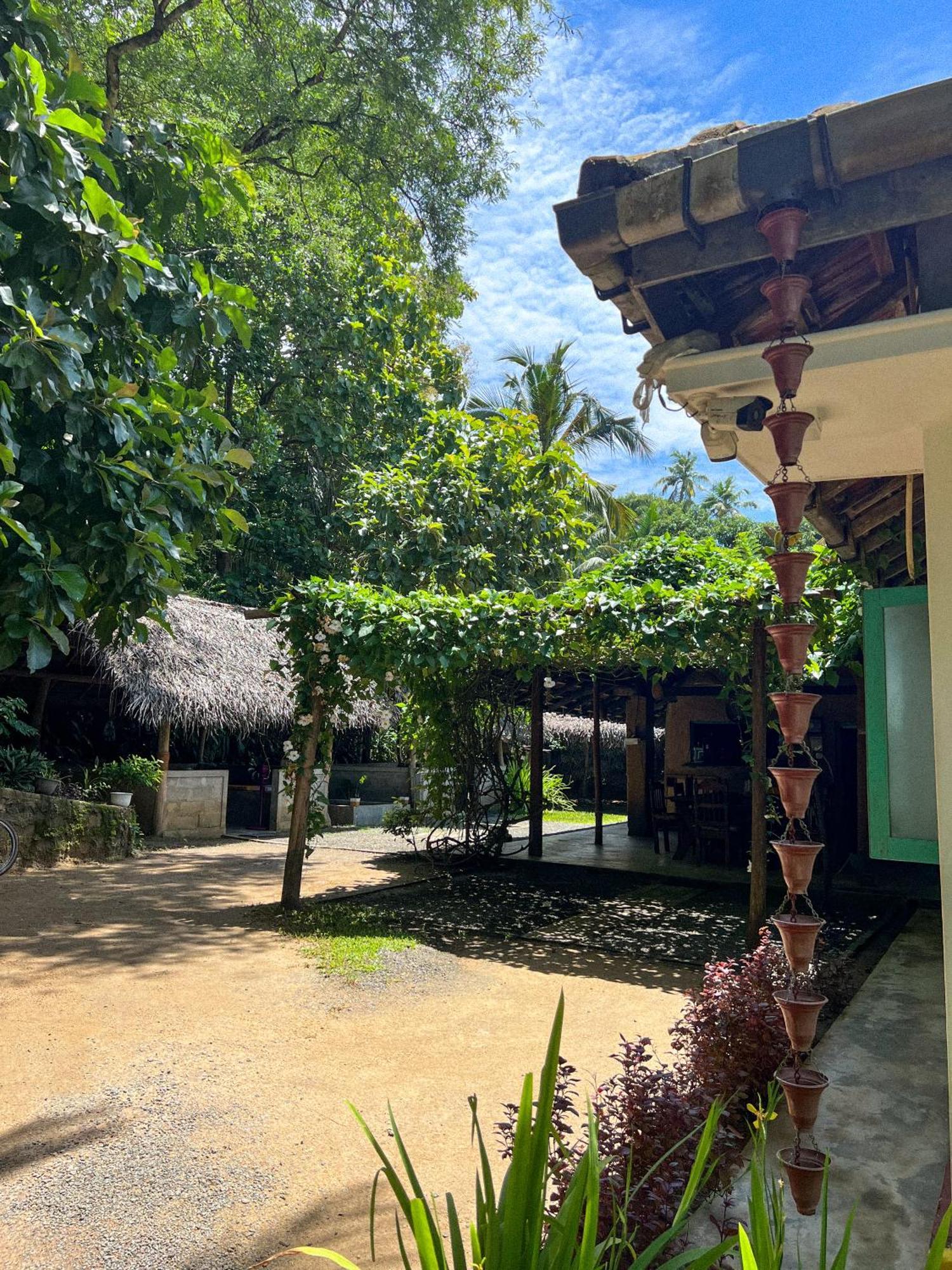 Lazy Monkey Surfhostel - Sri Lanka Dikwella Exteriör bild