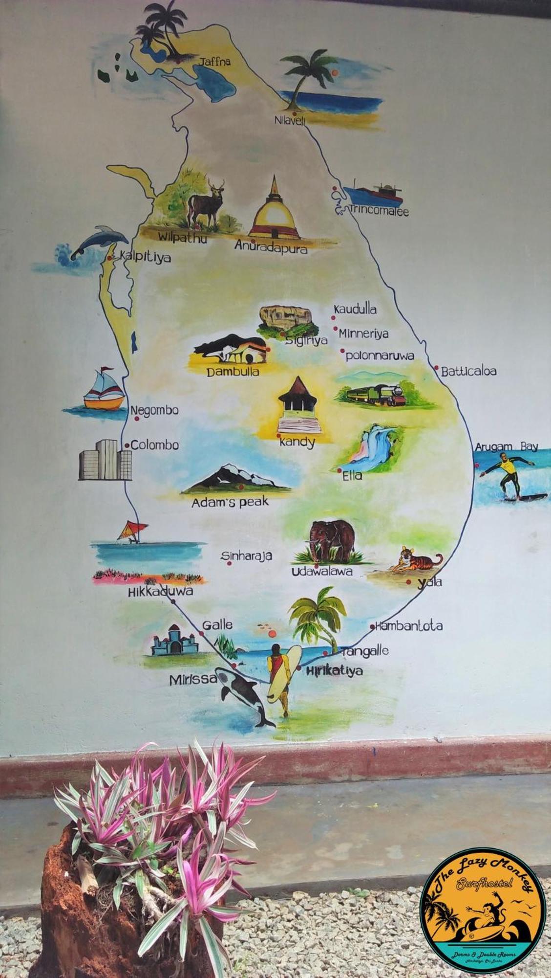 Lazy Monkey Surfhostel - Sri Lanka Dikwella Exteriör bild