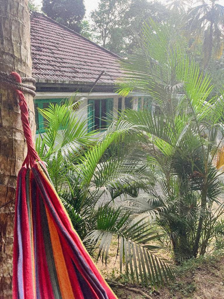 Lazy Monkey Surfhostel - Sri Lanka Dikwella Exteriör bild