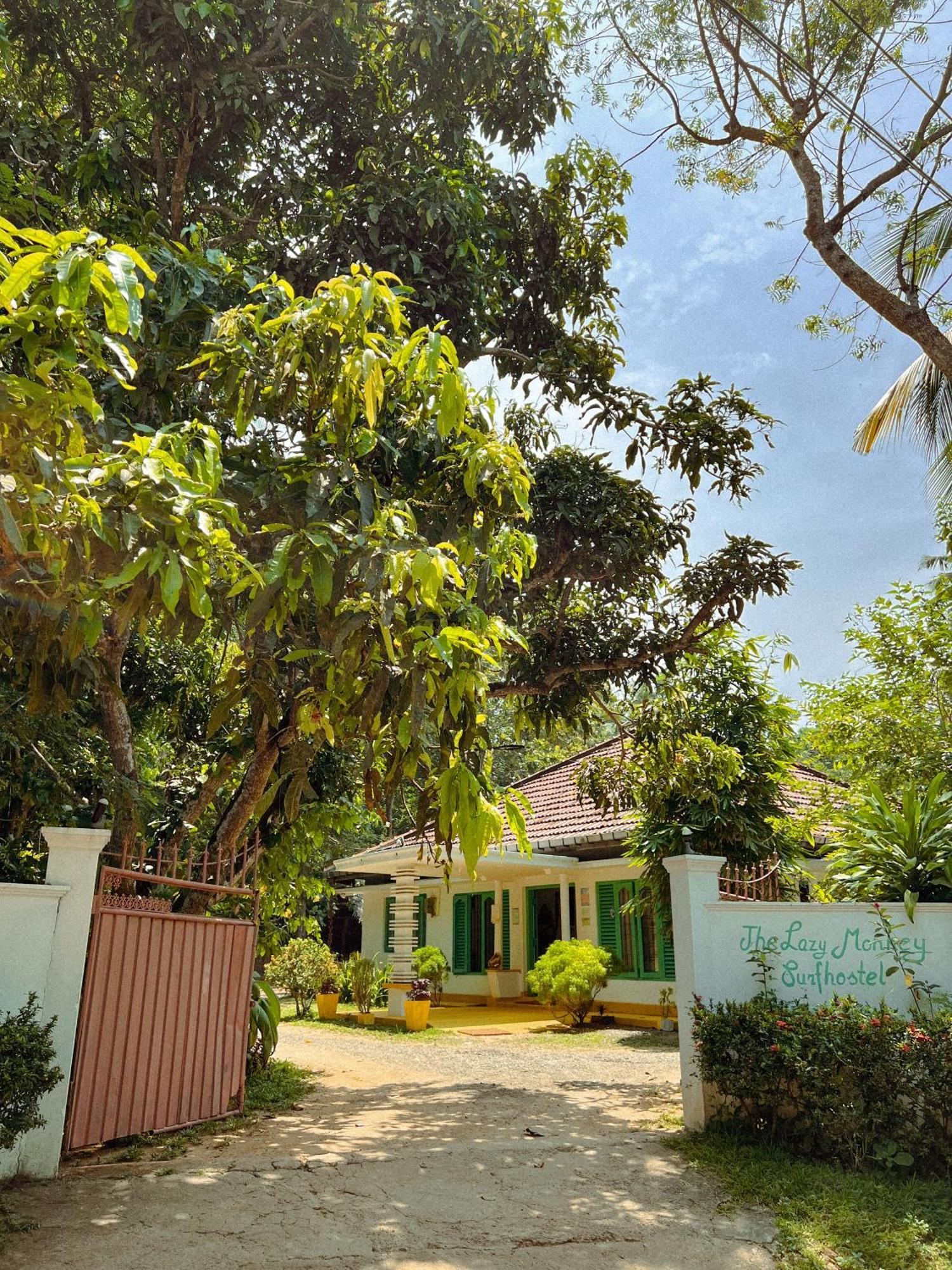 Lazy Monkey Surfhostel - Sri Lanka Dikwella Exteriör bild